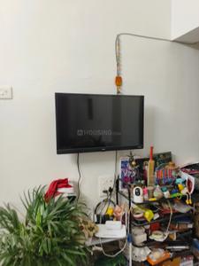 Hall Image of 390 Sq.ft 1 BHK Apartment / Flat for rent in Vaibhavlaxmi Templum Heights, Vikhroli East Mumbai for Rs. 30000