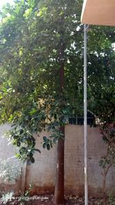 Balcony Image of 830 Sq.ft 2 BHK Villa for sale in Shelu Thane for Rs. 7200000