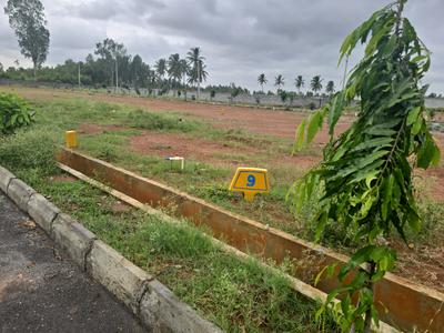 Residential Plot