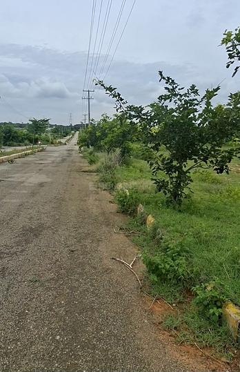 SRILOGILLU HMDA VENTURE KANDUKUR FUTURE CITY ROAD Main Image 1