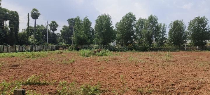 Bhogapuram Main Image 1