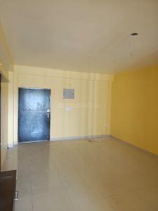 Hall Image of 1761 Sq.ft 3 BHK Apartment / Flat for rent in Morabadi Ranchi for Rs. 24000
