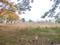 Paradise Attibele Road Main Image 1
