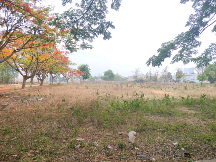 Paradise Attibele Road Main Image 1