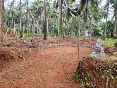 Image of 437 Sq.ft Residential Plot / Land for sale in Balussery, Kozhikode for Rs. 300000