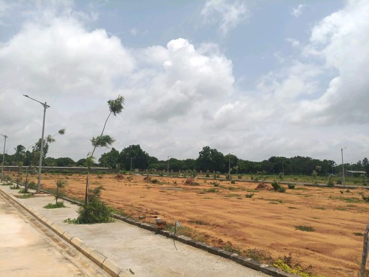 Prime Estates Main Image 1