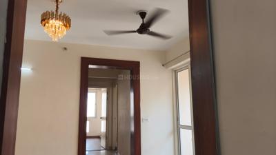 Living Room Image of 953 Sq.ft 2 BHK Apartment / Flat for rent in Jaypee Kosmos, Sector 134 Noida for Rs. 24500