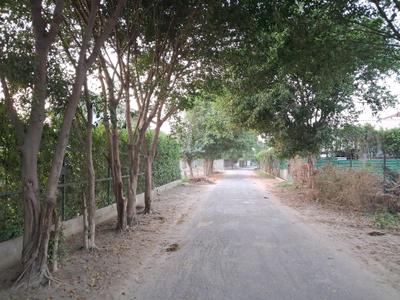 Image of 20000 Sq.ft Residential Plot / Land for sale in Dkrrish Alaska Farms, Nagli Bahrampur, Noida for Rs. 18000000