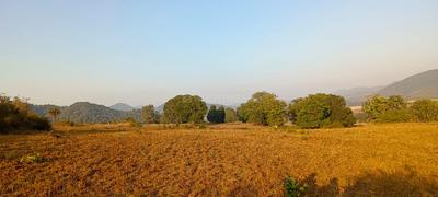 Residential Plot