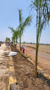 Image of 600 Sq.ft Residential Plot / Land for sale in Sejbahar, Raipur for Rs. 690000