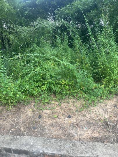 Grhu Garden Main Image 1