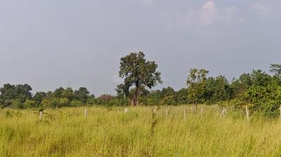 Image of 24000 Sq.ft Residential Plot / Land for sale in Murbad, Thane for Rs. 3955000