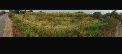 Lapkaman Plot View 1