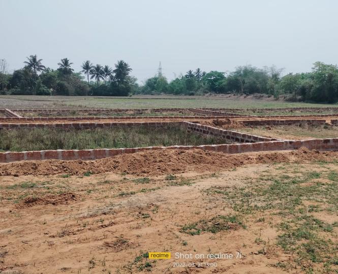 Balianta Main Image 1