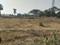 Atala Plot View 2