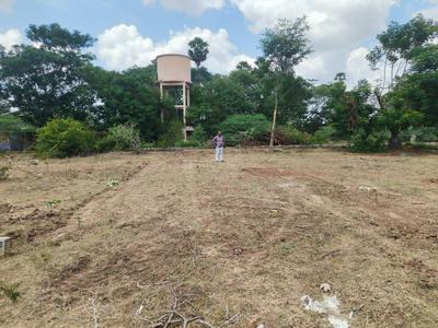 Residential Plot