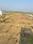 Friends Colony Main Image 1