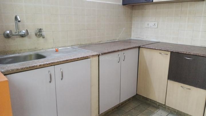 Exotica Elegance Main Image 1