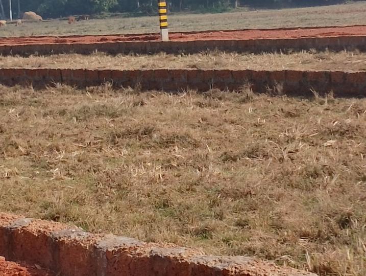 Balianta Main Image 1