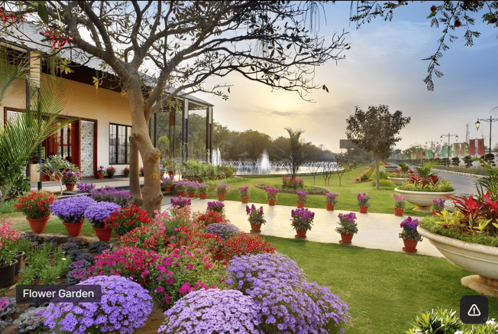 Central Park Flamingo Floors Main Image 1