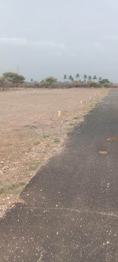 Palladam balaji garden Main Image 1