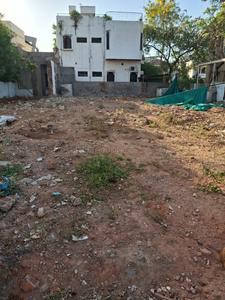 Sector 8 Plot View 2