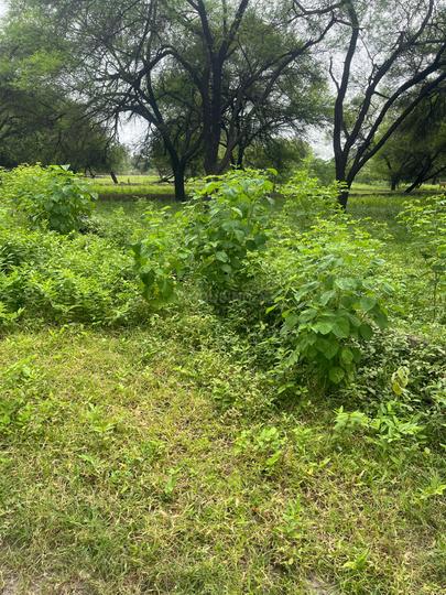 prakurti Main Image 1