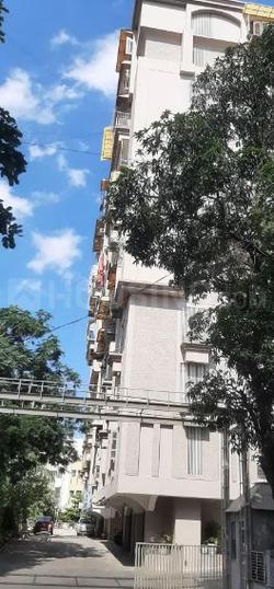 tullp galleria Main Image 1