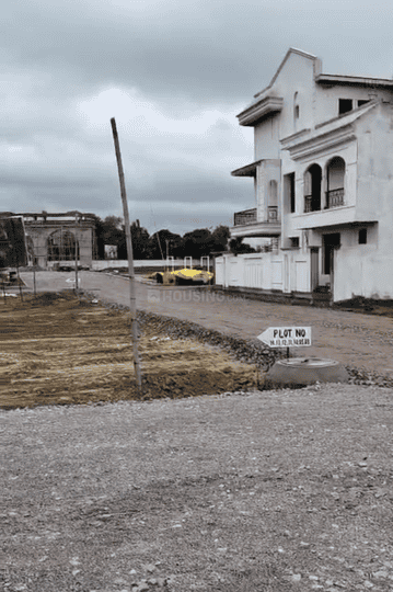 CCS Amor Main Image 1