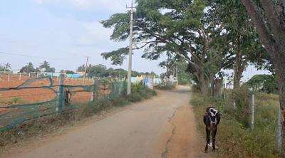 Image of 31581 Sq.ft Residential Plot / Land for sale in Nandi Hills, Chikballapur District for Rs. 39000000