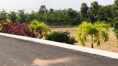 Image of 100 Sq.ft Residential Plot / Land for sale in Bhogapuram, Visakhapatnam for Rs. 1500000