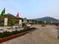 Golden Palm Phase 3 Main Image 1
