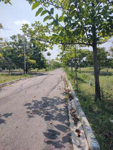 Residential Plot