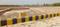 Gosainganj Main Image 1