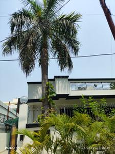 Image of 450 Sq.ft 1 BHK Independent House for rent in Sector 30, Noida for Rs. 18000