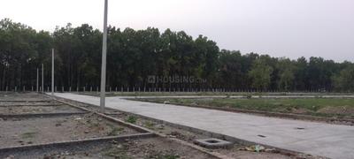 Image of 1218 Sq.ft Residential Plot / Land for sale in R V Estate Reyansh Green, Pondha, Dehradun for Rs. 7500000