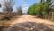 Greenhome English County Main Image 1
