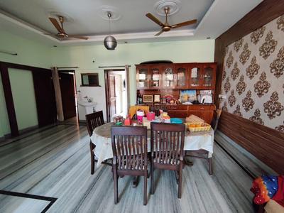 Hall Image of Shared rooms  in Sector 12, Panchkula