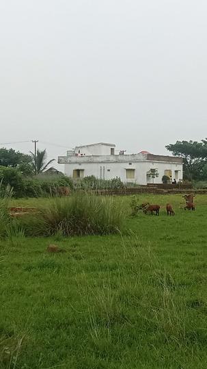 Gudia Pokhari Main Image 1