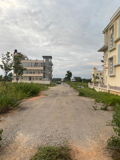 Magnolia Valley Woods Main Image 1