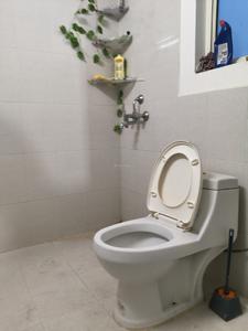 Common Bathroom Image of 900 Sq.ft 2 BHK Apartment / Flat for rent in Pyramid Urban 67A, Sector 67 Gurgaon for Rs. 23000
