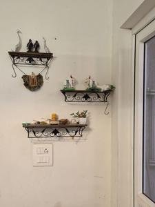 Hall Image of 550 Sq.ft 1 BHK Apartment / Flat for rent in Godrej Infinity, Mundhwa Pune for Rs. 29000