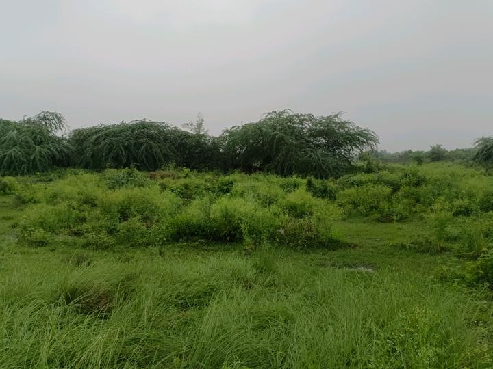 Rohini sector 34 Main Image 1