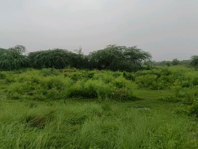 Rohini sector 34 Plot View 1