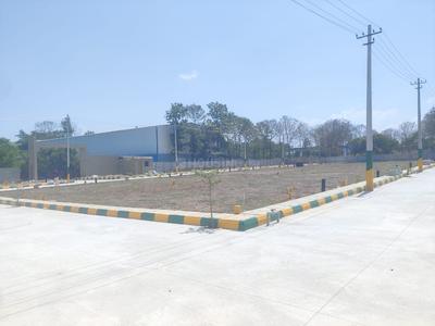 Residential Plot