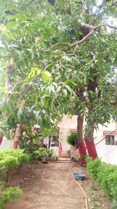 Image of 3460 Sq.ft 4 BHK Independent House for sale in Gotri, Vadodara for Rs. 25000000