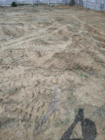 Aamka Dadri bypass Main Image 1