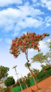 Veda Farm Plot View 3