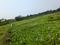 R.K.Pally Plot View 2