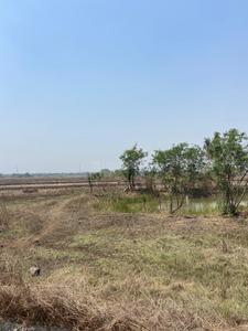 Image of 1089 Sq.ft Residential Plot / Land for sale in Invest Mahamumbai Plots In Uran, Uran, Navi Mumbai for Rs. 425600